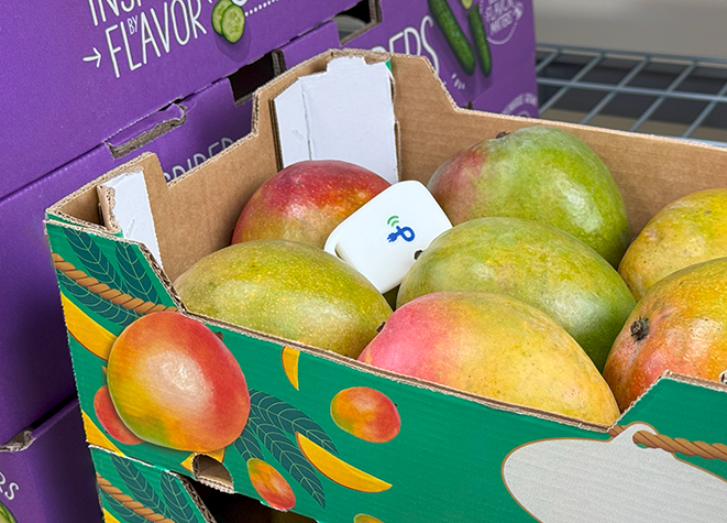 PCT300_logistics_produce