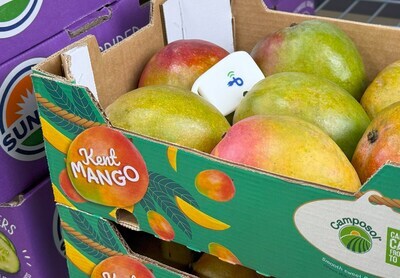 Instead of relying on wires and batteries, the tags power themselves perpetually using the RF signal sent over the air from the RAIN RFID readers used in inventory and monitoring applications.