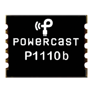 P1110b